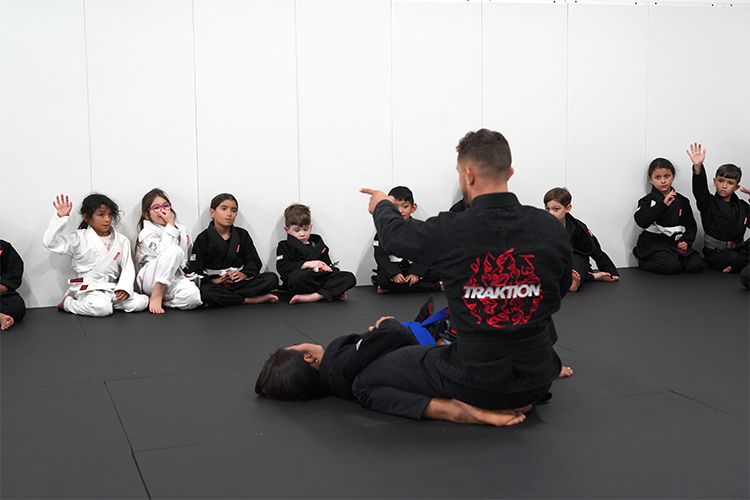 Jiu Jitsu Programs